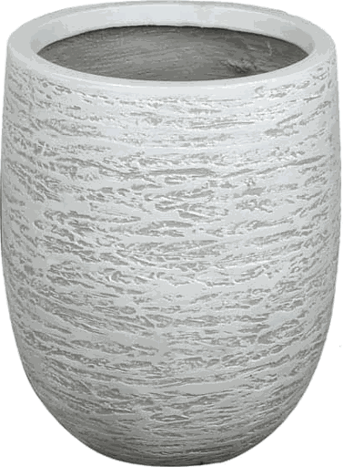 Birch Bottom Radius