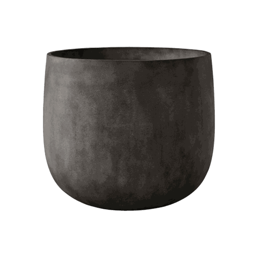 Mondo