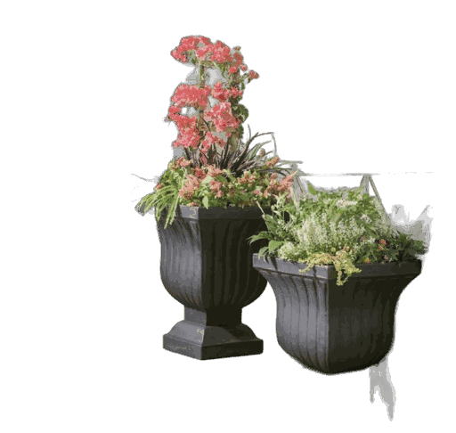 Leyla Urn