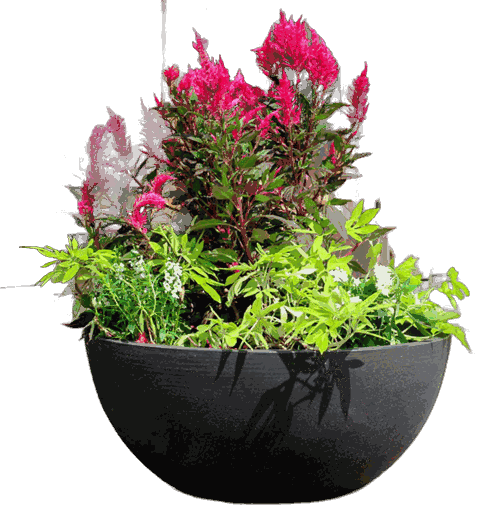 Flat-Bottom Bowl