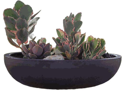 Tabletop Bowl