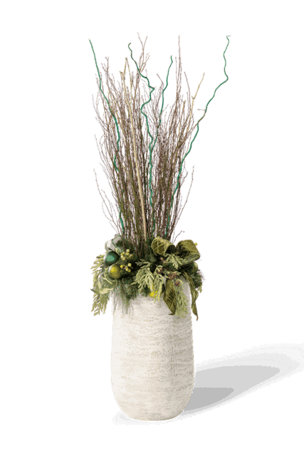Botanical Elegance Green Branch Display